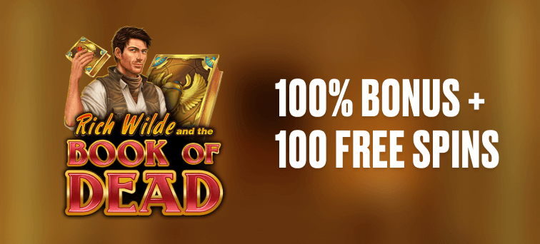 Book of Dead Slot Spieloberfläche mit Symboldarstellung